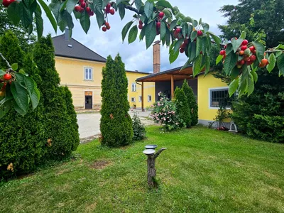 Gewerbeimmobilie kaufen in Wolfsberg – 130 m², € 510.000 – Bild 55 von 60