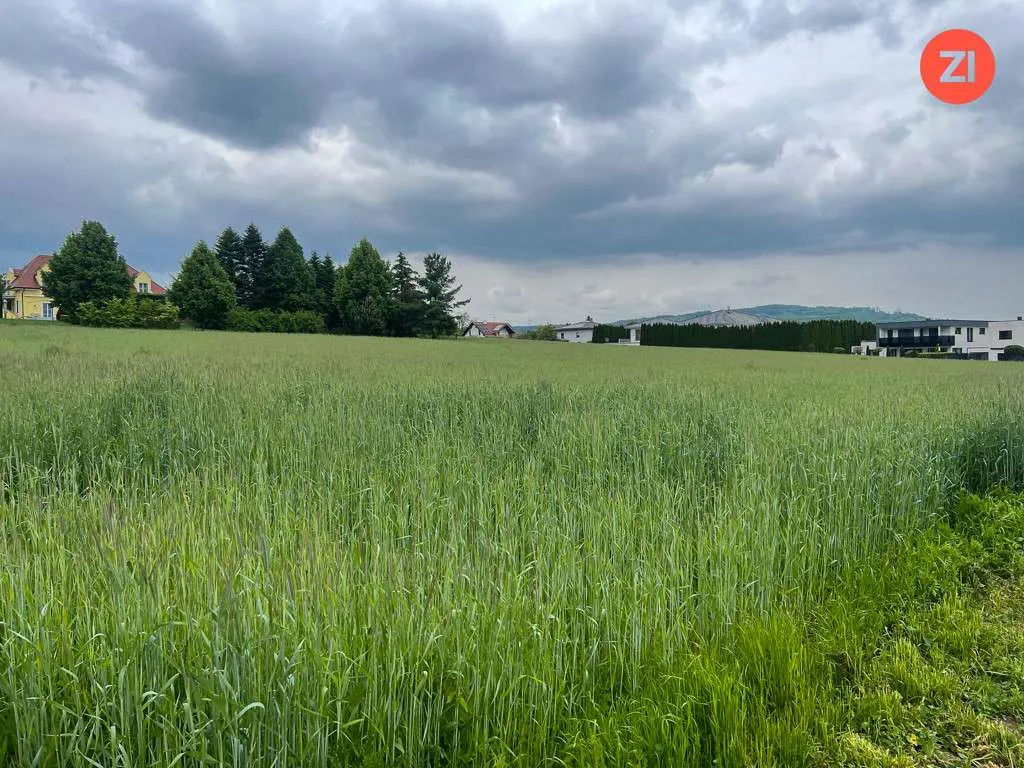Traumhaftes Baugrundstück in zentraler Paschinger Aussichtslage - Ansicht 3