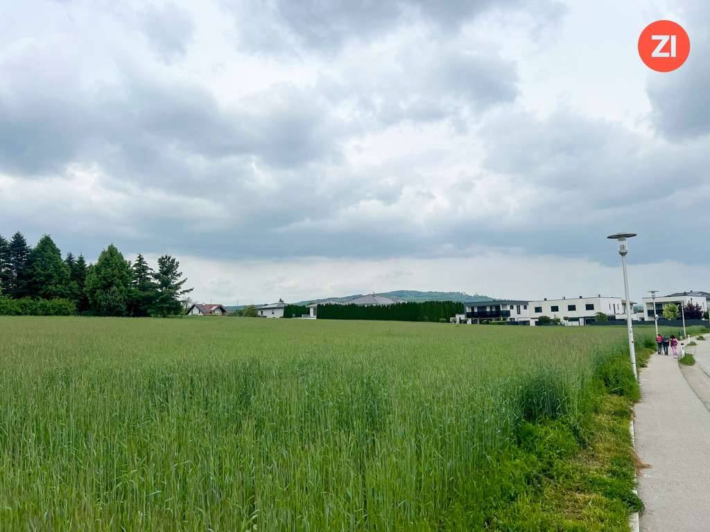 Traumhaftes Baugrundstück in zentraler Paschinger Aussichtslage - Ansicht 2