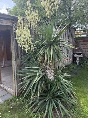 2-Zimmer-Haus kaufen in Wiener Neustadt Land – 97 m², € 369.000 – Bild 31 von 37