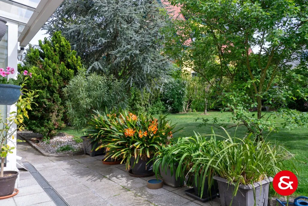Haus – Wien - Ansicht 2
