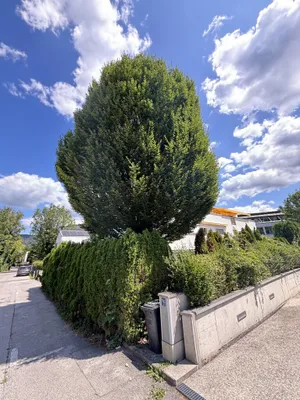 2-Zimmer-Wohnung kaufen in Salzburg Stadt – 54,3 m², € 570.000 – Bild 20 von 22