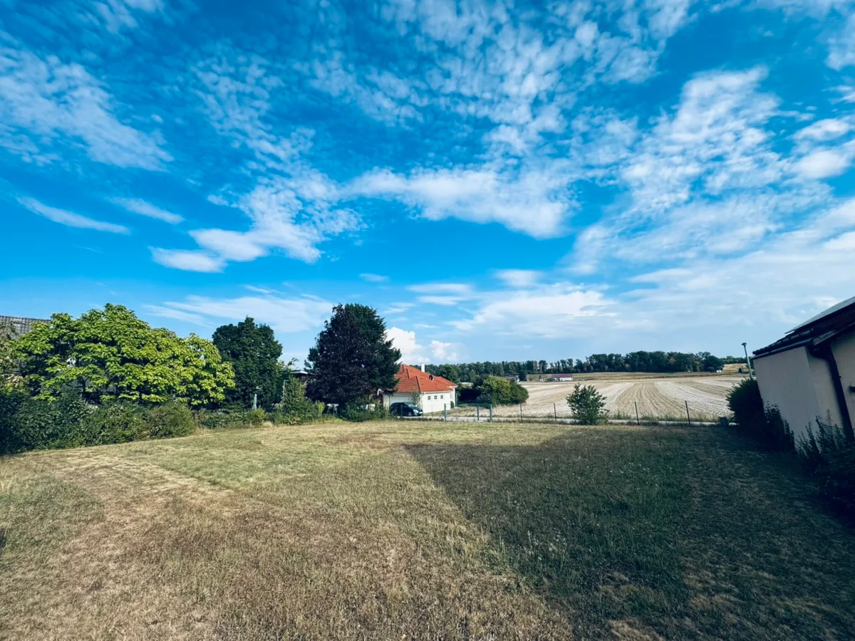 Top Baugrundstück in Enns - ruhig & sonnig, ohne Bauzwang! - Ansicht 3