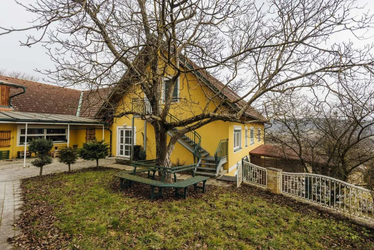Großzügiges Anwesen mit viel Potenzial: ehemaliges Seniorenwohnheim, Wohnhaus und Wohnungen auf großem, ruhigem Grundstück in der Südoststeiermark - Ansicht 3