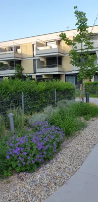 2-Zimmer-Wohnung mieten in Wien – 55 m², € 836