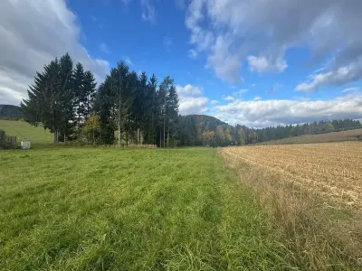 Grundstück kaufen in Hartberg-Fürstenfeld – 1 128 m², € 59.994 – Bild 5 von 8