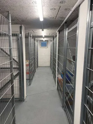 3-Zimmer-Wohnung mieten in Wien – 70 m², € 1.499 – Bild 18 von 31