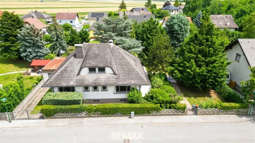 BUNGALOW - Strasshof/Schönkirchen Silberwald - Ansicht 3