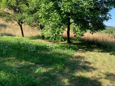 Grundstück kaufen in Südoststeiermark – 5 206 m², € 99.000 – Bild 5 von 11