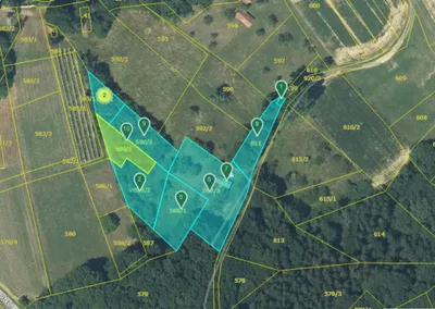 Grundstück kaufen in Südoststeiermark – 5 206 m², € 99.000 – Bild 11 von 11