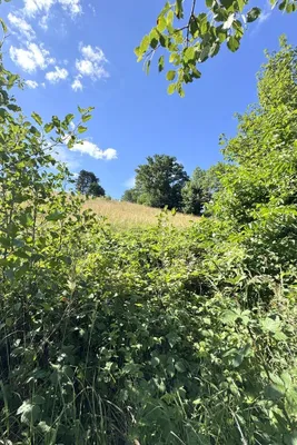Grundstück kaufen in Sankt Pölten Land – 735 m², € 275.000 – Bild 2 von 9