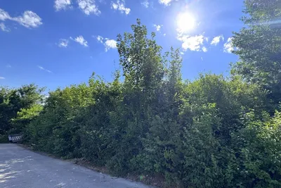 Grundstück kaufen in Sankt Pölten Land – 735 m², € 275.000 – Bild 4 von 9
