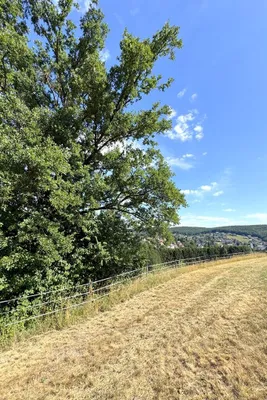Grundstück kaufen in Sankt Pölten Land – 735 m², € 275.000 – Bild 8 von 9