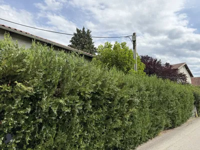 5-Zimmer-Haus kaufen in Sankt Pölten Land – 150 m², € 590.000 – Bild 42 von 46