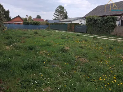 Grundstück mieten in Eisenstadt - Umgebung – 305 m², € 570 – Bild 5 von 6