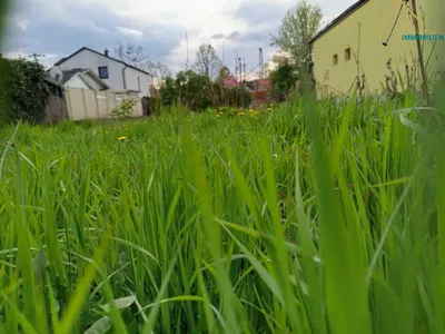 Grundstück mieten in Eisenstadt - Umgebung – 305 m², € 570 – Bild 3 von 6