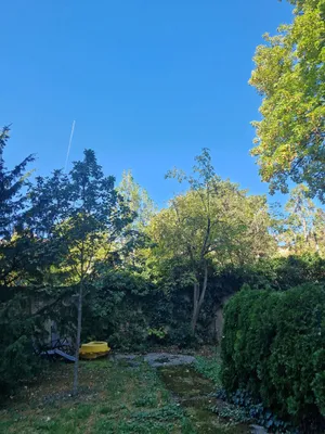 4-Zimmer-Wohnung mieten in Wien – 88 m², € 1.690 – Bild 23 von 26