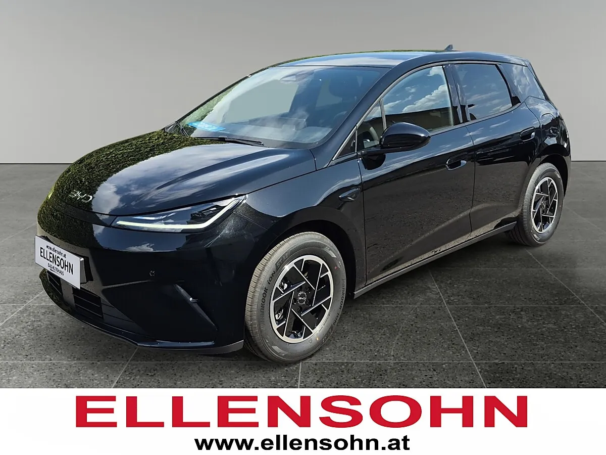 BYD Dolphin G