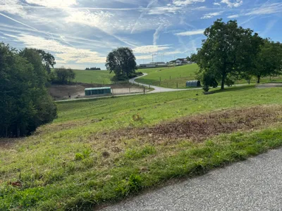 Grundstück kaufen in Rohrbach – 1 175 m², € 59.900 – Bild 2 von 6