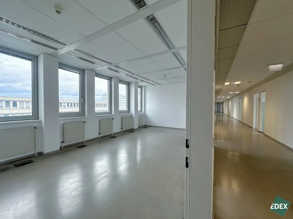 Hochwertige Bürofläche samt großzügiger Terrasse an der Brigittenauer Lände - Ansicht 2