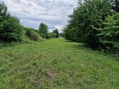 Grundstück mieten in Krems Land – 4 370 m², € 200 – Bild 3 von 5