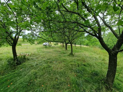 Grundstück mieten in Krems Land – 4 370 m², € 200