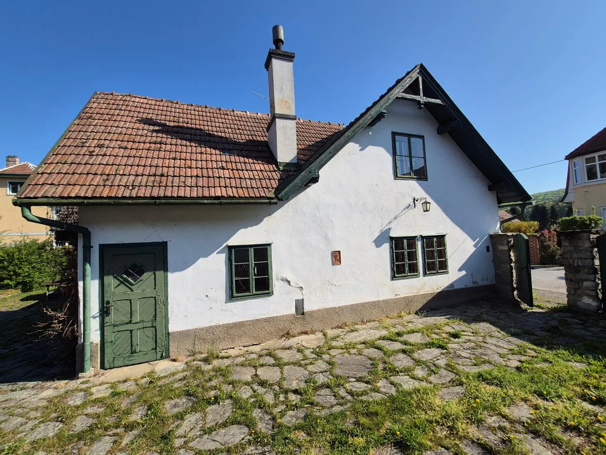 ENTZÜCKENDES HAUS AUF GROSSEM BAUGRUND - Ansicht 3