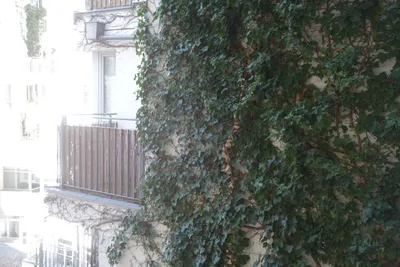 2-Zimmer-Wohnung mieten in Wien – 67 m², € 1.290 – Bild 9 von 11