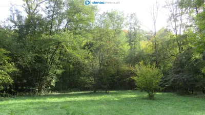 4-Zimmer-Haus kaufen in Horn – 139,59 m², € 69.000 – Bild 22 von 23