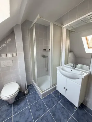 5-Zimmer-Haus kaufen in Wels-Land – 92,5 m² – Bild 9 von 13