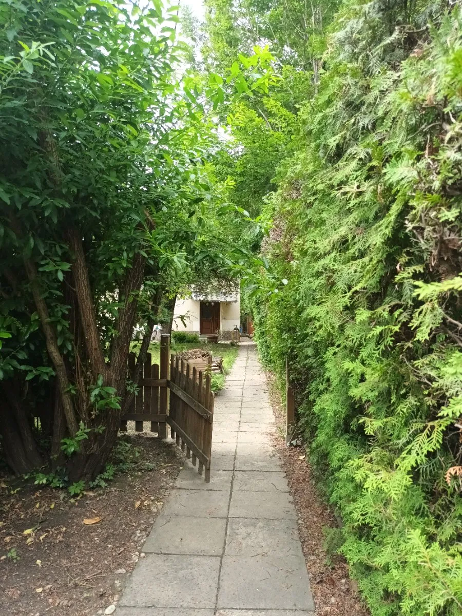 Medizin Studierende aufgepasst! Einfamilienhaus in absoluter LKH Nähe, WG tauglich, Geidorf