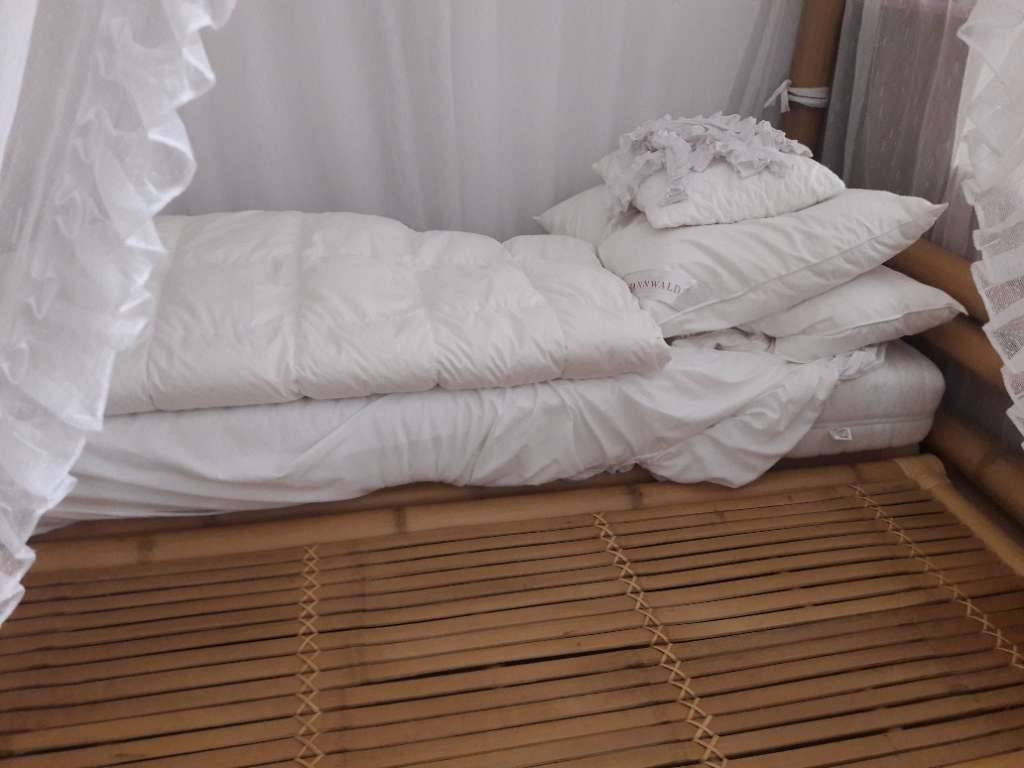 Design Bambus-Himmelbett (inkl. Baldachin, Queen Size 160x200 cm),  300,-  (1210 Wien) - willhaben