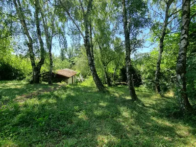 3-Zimmer-Haus kaufen in Sankt Pölten Land – 90,16 m², € 470.000 – Bild 25 von 26