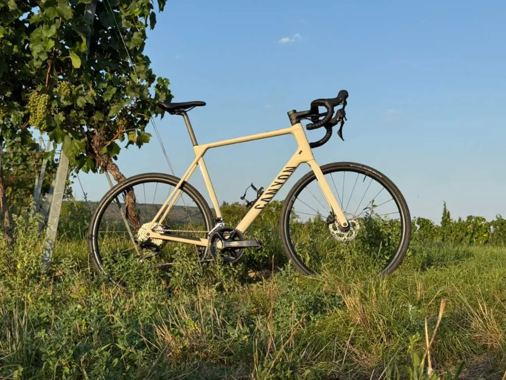 delta fahrrad 24 zoll Galano GA20 Jugend Mountainbike MTB 21 Gänge 24 Zoll Fahrrad Reifen COLOR:Gloss Flored Calsun Orgzst Category:Trekkingrad_Nabendynamo