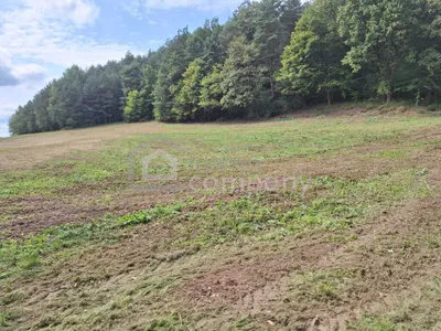 3-Zimmer-Haus kaufen in Jennersdorf – 80 m², € 149.999 – Bild 17 von 18
