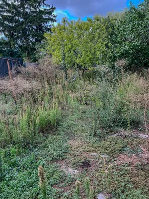 2-Zimmer-Haus kaufen in Gänserndorf – 60 m², € 69.000 – Bild 14 von 17