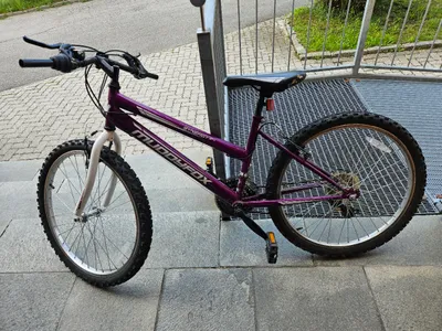 fahrrad für jungen 24 zoll BIKESTAR Kinderfahrrad Mädchen und ab 9 Jahre | Kinderrad Urban Jungle | für Kinder Türkis & Berry Angewendet:J1 ST (Original Version) Category:Kinder Jugend_HiTen Kindergerecht Early Rider Hellion X