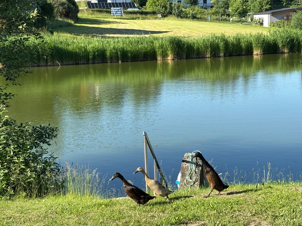Grundstück am idyllischen Badeteich für Ihr individuelles HARTL Haus in Bad Traunstein - Ansicht 3