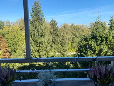 1-Zimmer-Wohnung mieten in Salzburg Stadt – 22 m², € 1.250 – Bild 4 von 7