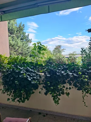 3-Zimmer-Wohnung kaufen in Baden – 98 m², € 379.000 – Bild 34 von 43