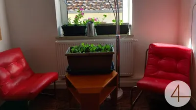 5-Zimmer-Haus kaufen in Gmünd – 379 m², € 179.000 – Bild 7 von 22