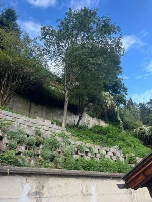 9-Zimmer-Haus kaufen in Innsbruck-Land – 180 m², € 690.000 – Bild 23 von 37