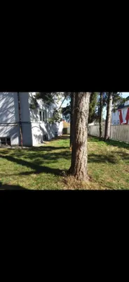 3-Zimmer-Wohnung mieten in Wels – 88 m², € 1.090 – Bild 10 von 14