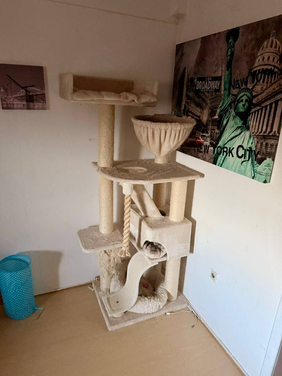 hypet hundebett Dreamer Pure Hundebett