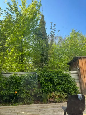 2-Zimmer-Wohnung mieten in Graz – 62 m², € 1.165 – Bild 12 von 15