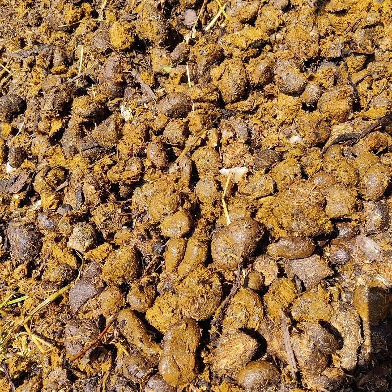 Bio Garten/ Gemse/ Obst Dnger - Pferdemist pur mit EMA,  0,- (4871 Zipf)  - willhaben