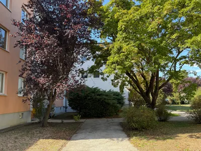 3-Zimmer-Wohnung mieten in Wiener Neustadt Land – 74 m², € 1.029 – Bild 10 von 11