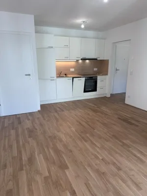 Moderne 3-Zimmer-Neubauwohnung mit Balkon & Stellplatzoption