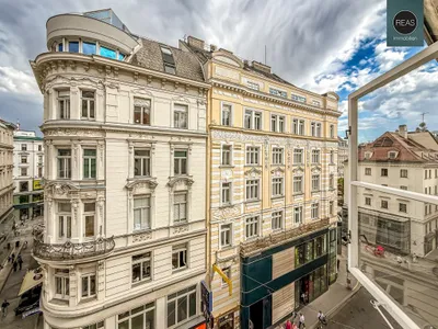 Provisionsfrei: Großzügige Stadtwohnung in absoluter Bestlage nahe Stephansplatz!, photo 2
