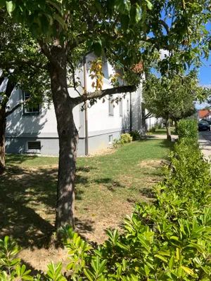 2-Zimmer-Wohnung mieten in Melk – 37 m², € 570 – Bild 14 von 14